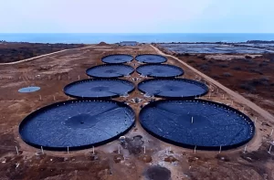 piscinas de camaron